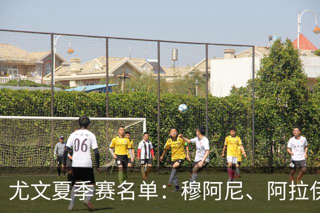 尤文夏季赛名单：穆阿尼、阿拉伊贝戈维奇、切利克等新援在列